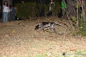 VBS_6425 - Inaugurazione Stagione 2022-23 Simulazione Ricerca Tartufo